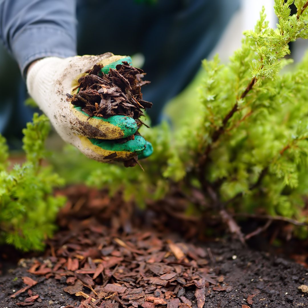 Gardening Services