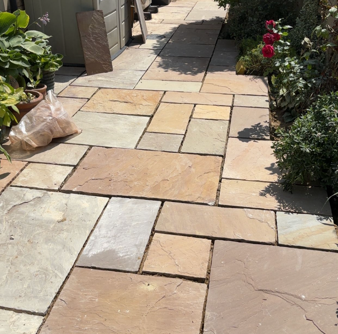 Paved garden pathway with plants on a sunny day