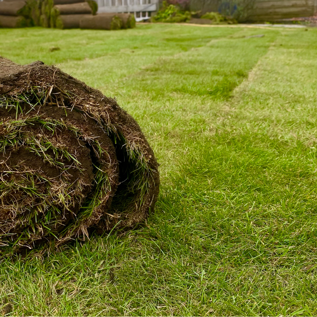 Turf Installation