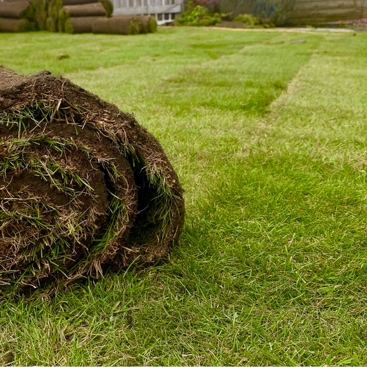 Turf Installation