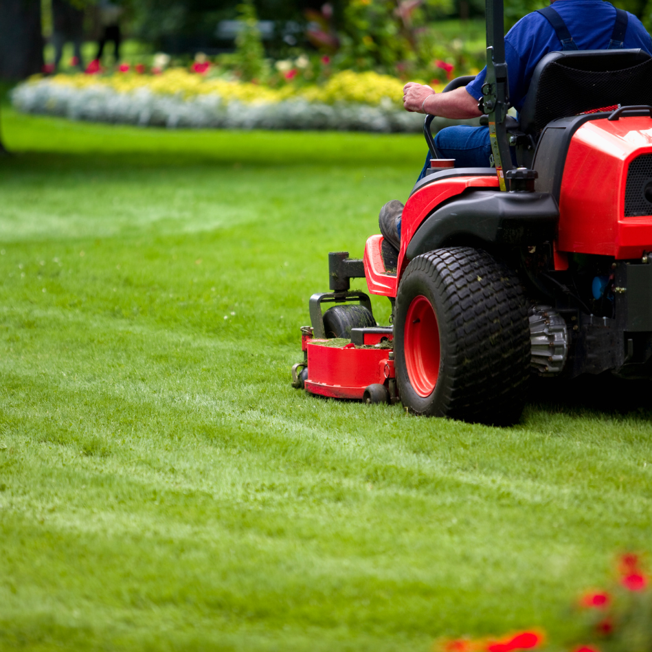Person using a red riding lawn mower on a green lawn with flowers in the background
