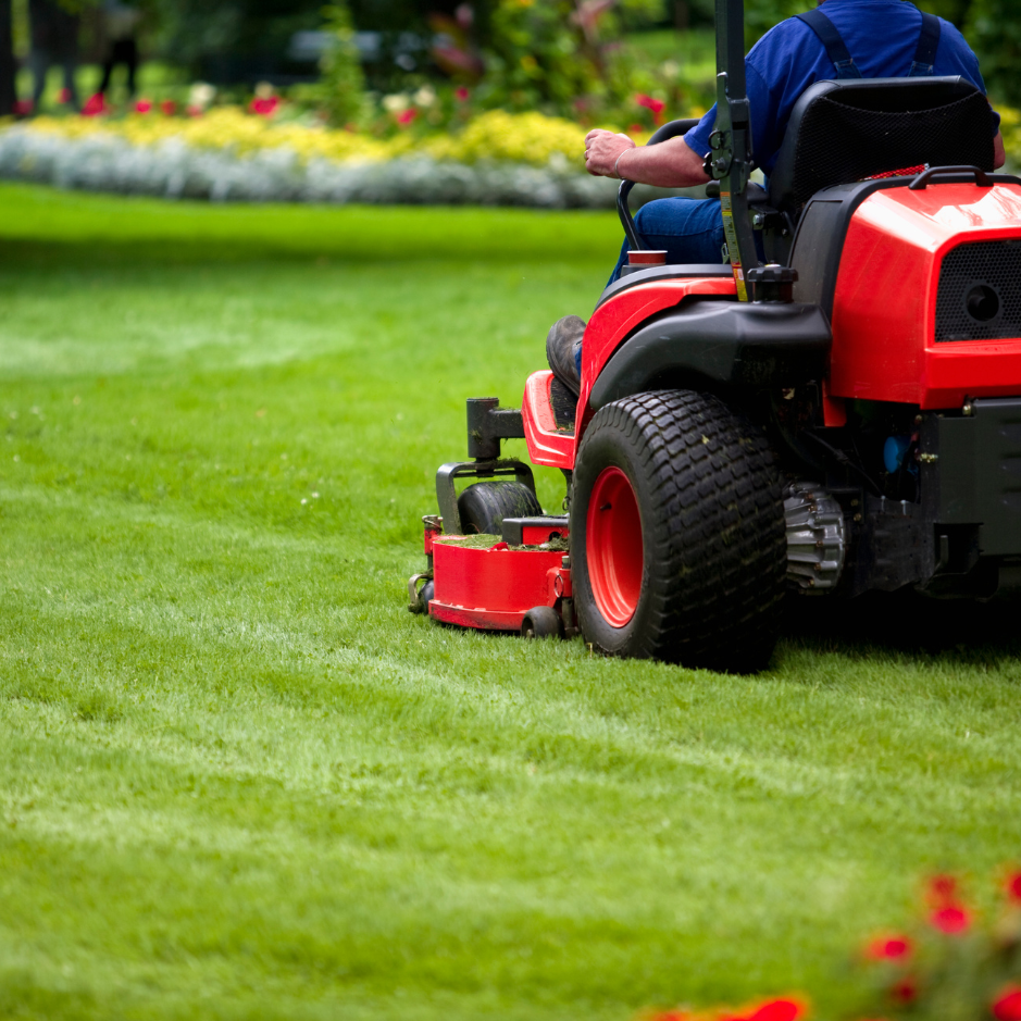 Person using a red riding lawn mower on a green lawn with flowers in the background